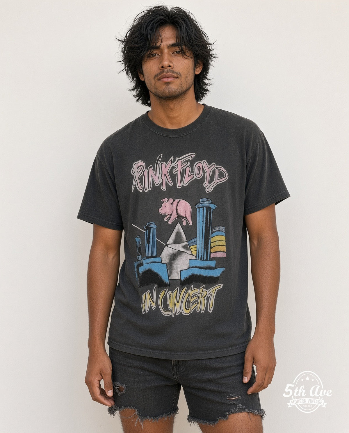 Pink Floyd model