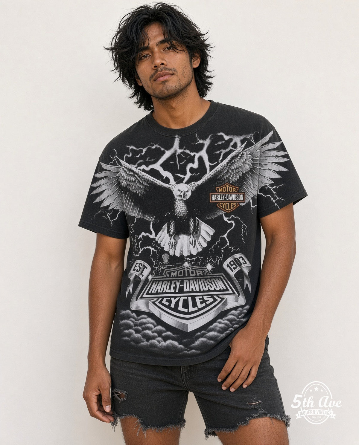 Harley-Davidson model