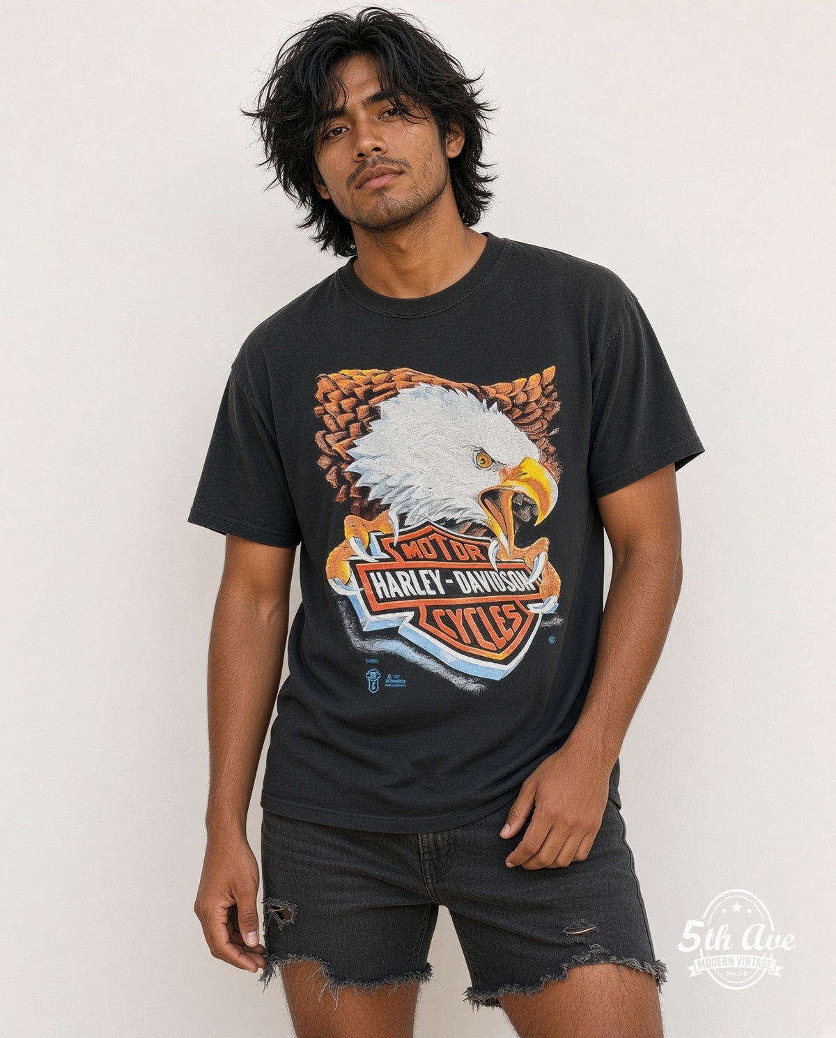 Harley-Davidson model