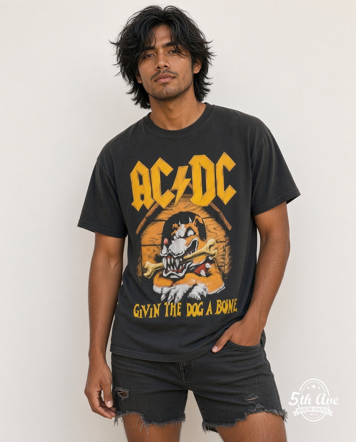AC/DC model