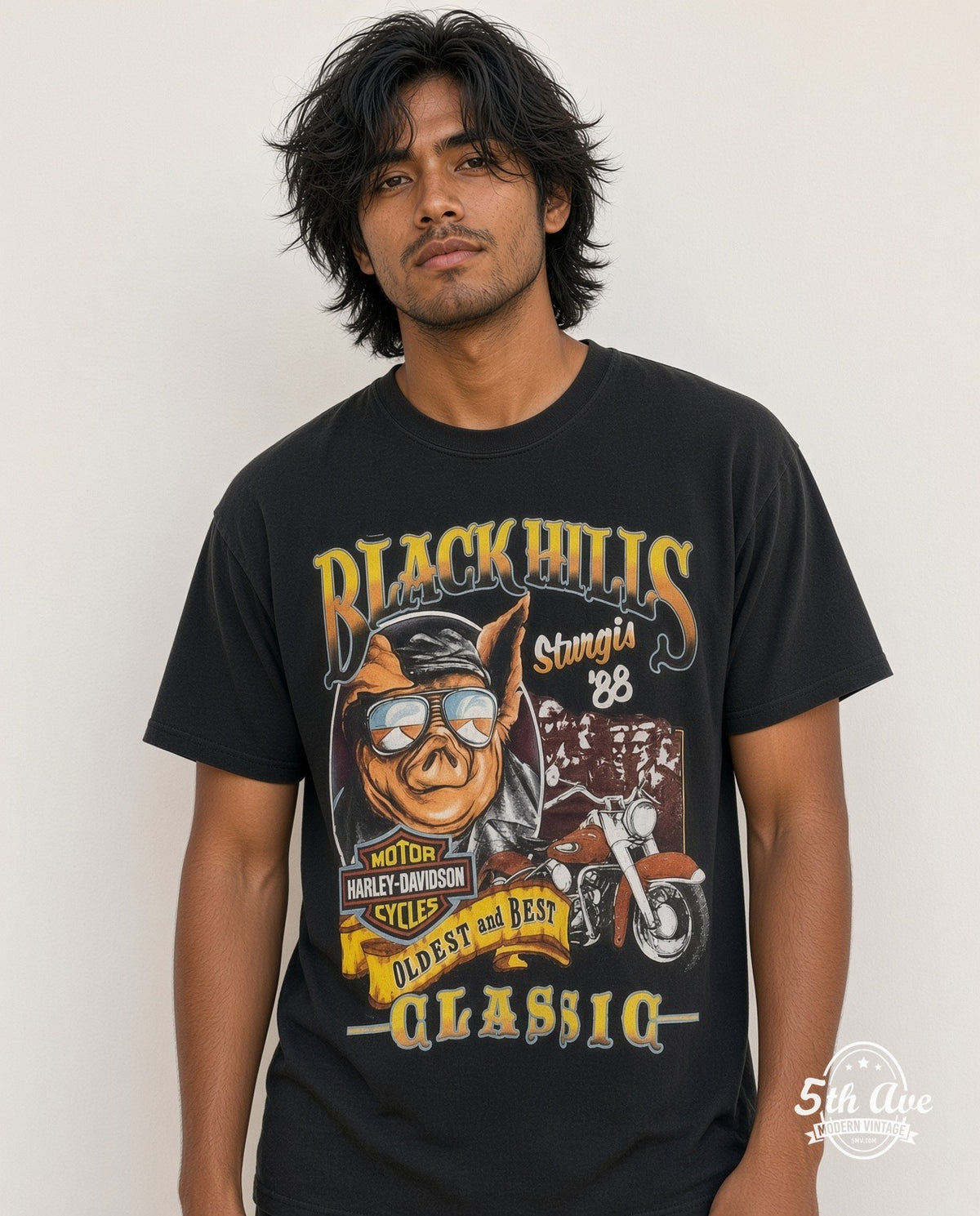Harley-Davidson model
