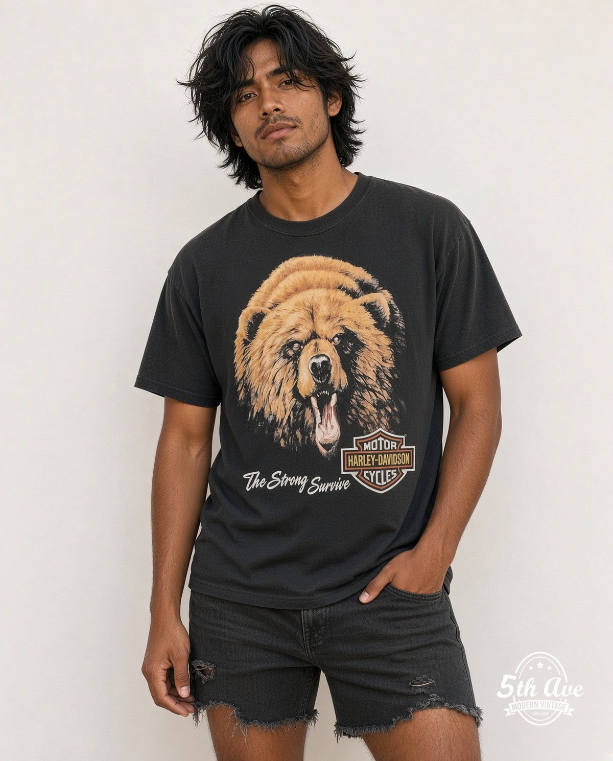 Harley-Davidson model