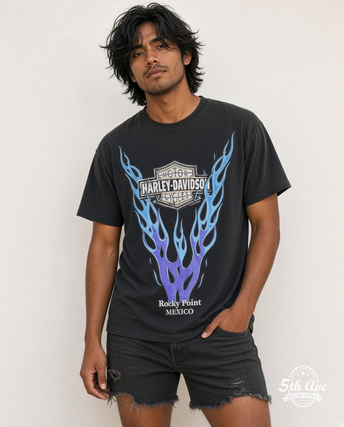 Harley-Davidson model