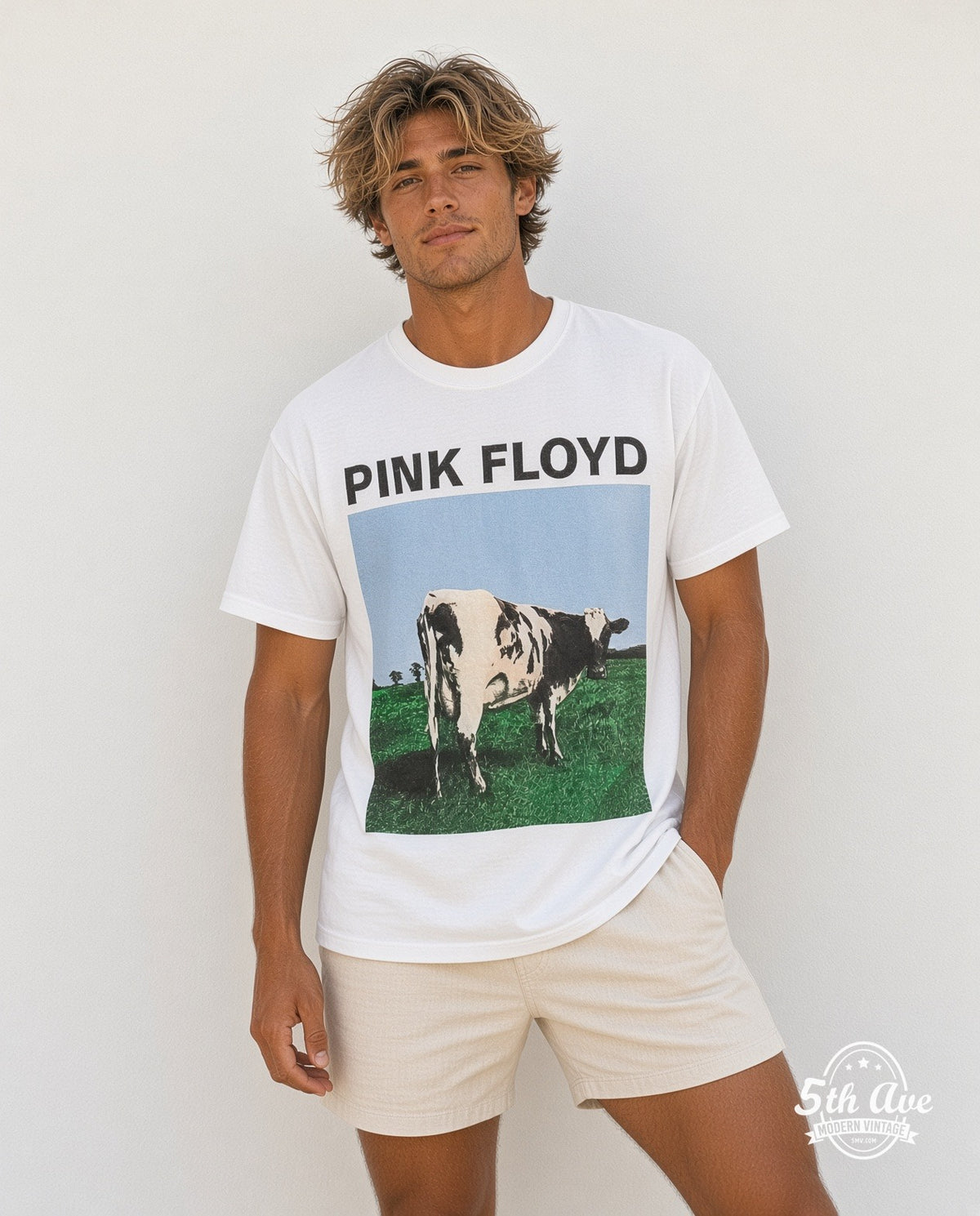 Pink Floyd model