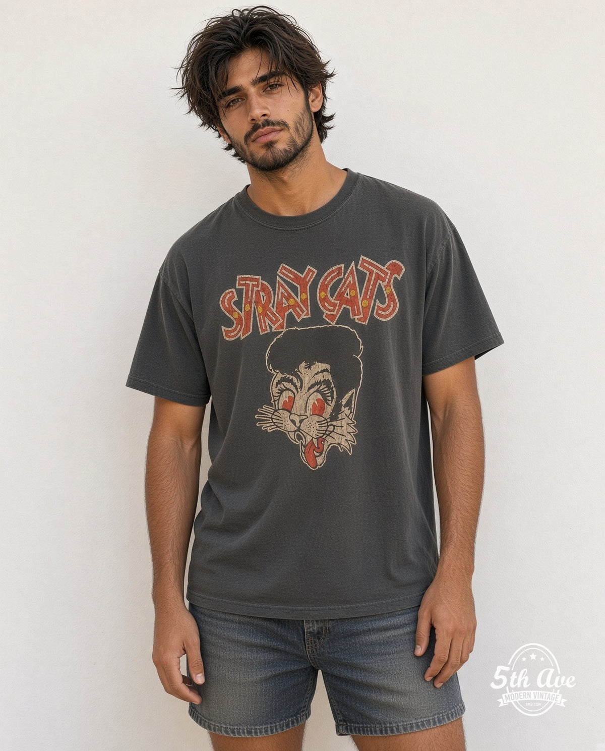 Stray Cats model