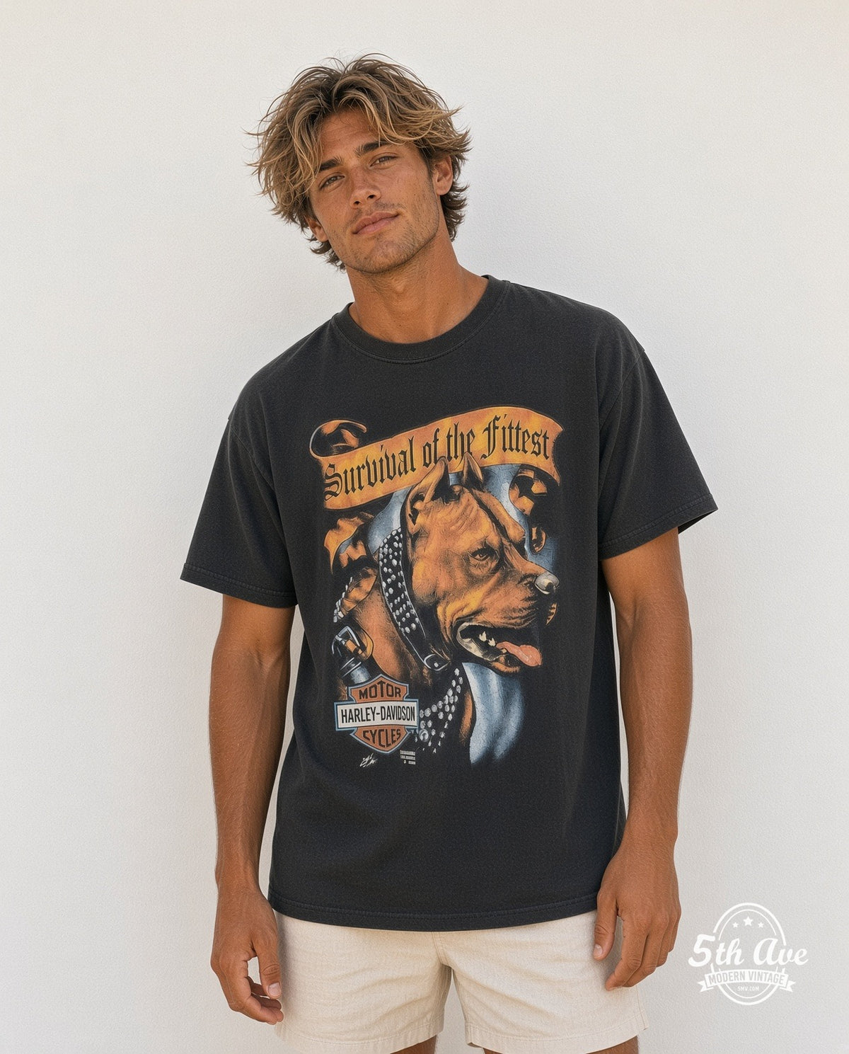 Harley-Davidson model
