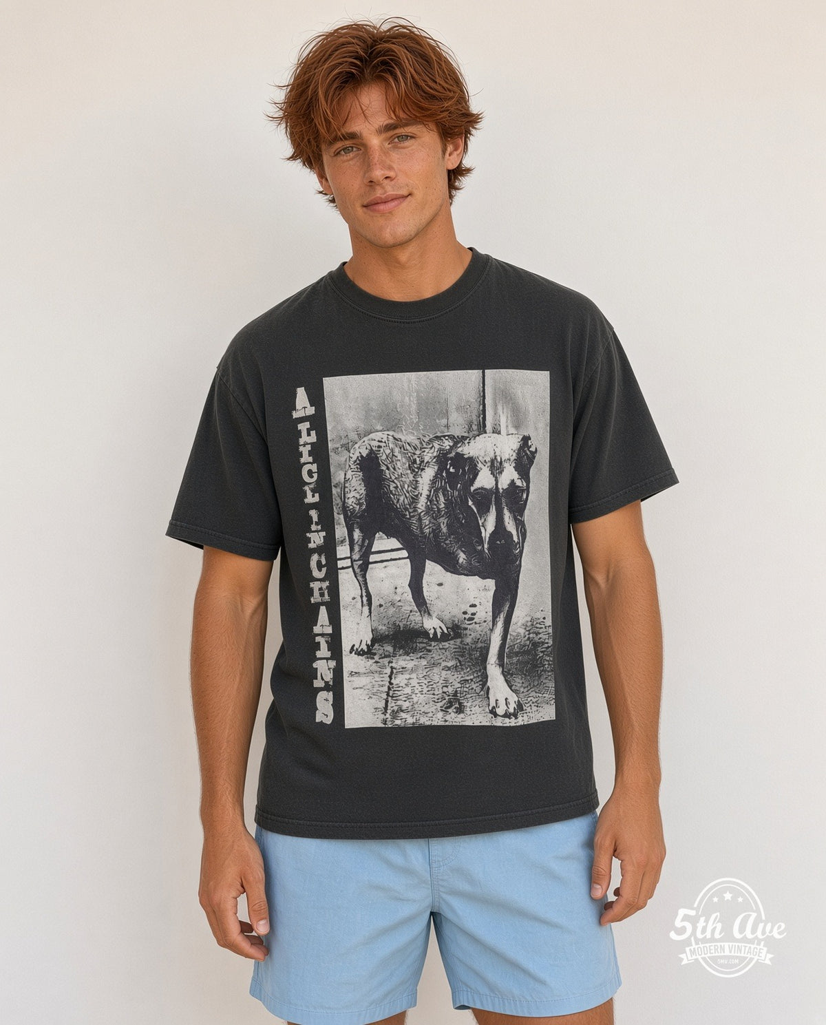 Alice in Chains model
